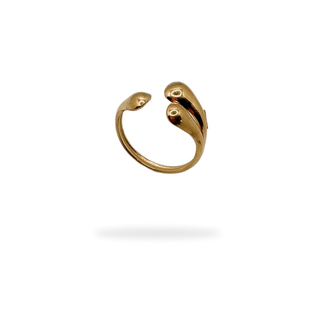 Anillo A