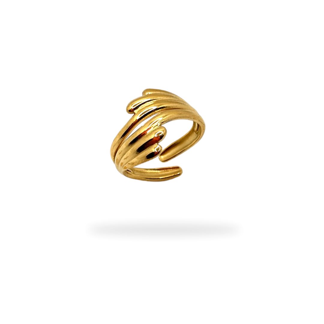 Anillo C